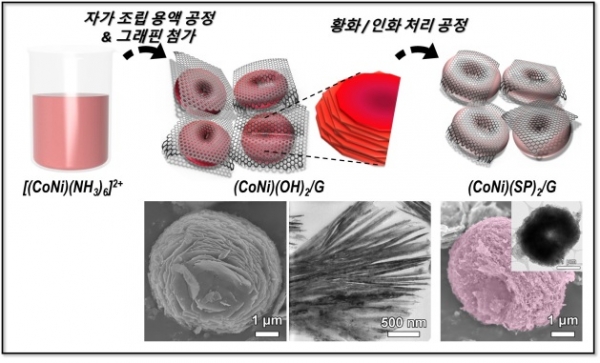 니켈(Ni)과 인(P)으로 치환된 삼차원 구조의 코발트-황(CoS2) 기반 촉매 제조 공정. (사진=한국연구재단)