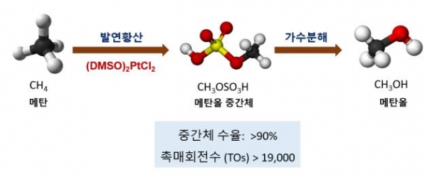 백금계 유기금속 촉매를 이용한 메탄 산화 반응. (사진=한국연구재단)