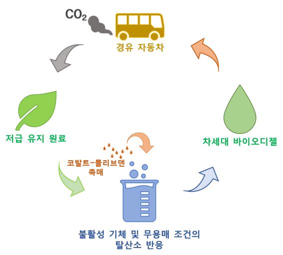 코발트-몰리브덴 촉매의 탈산소 반응을 통한 차세대 바이오디젤 생산. (사진=한국연구재단)