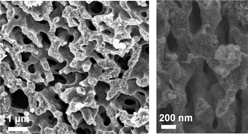 합성된 계층형 다공성 티타늄질화물 전자현미경 사진. (사진=KAIST)