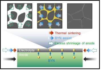 KIST 이종호 박사는 열처리 과정 중 구성소재 물성의 저하 없이 소결조제와 기판의 추가수축력을 활용해 전해질을 치밀화 하는 원리를 세계 최초로 확립했다. 또 이를 응용하여 공정 온도를 획기적으로 낮출 수 있었다. (사진=KIST)
