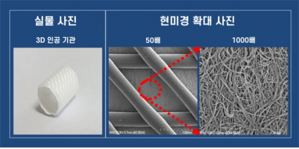 3D 튜브형 인공 기관 구조 (사진=기계연구원)