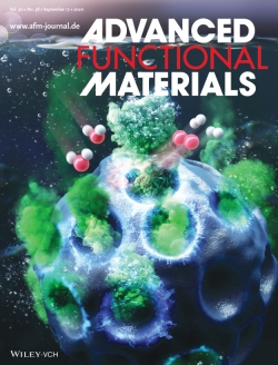 생기원 기능성소재부품연구그룹 김강민 박사와 건국대 한혁수 교수가 공동 개발한 고효율 저단가 수전해 촉매 기술이 지난 9월 ‘Advanced Functional Materials’ 표지 논문에 게재됐다. (사진=생기원)