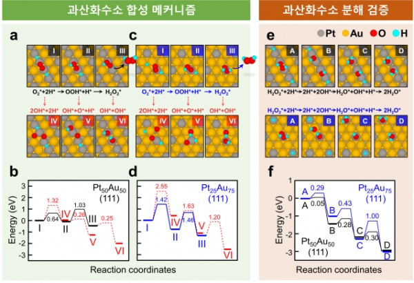 금-백금 나노입자 촉매의 H2O2 생산 메커니즘. (사진=KIST)