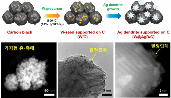 가지 형태 은-촉매의 합성 개요도 및 전자현미경 이미지. (출처=KIST)