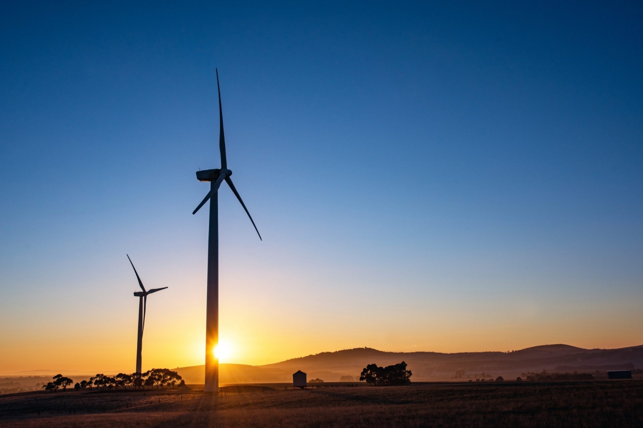 고려아연의 호주 손자회사인 아크에너지(Ark Energy)의 매킨타이어 풍력 발전소