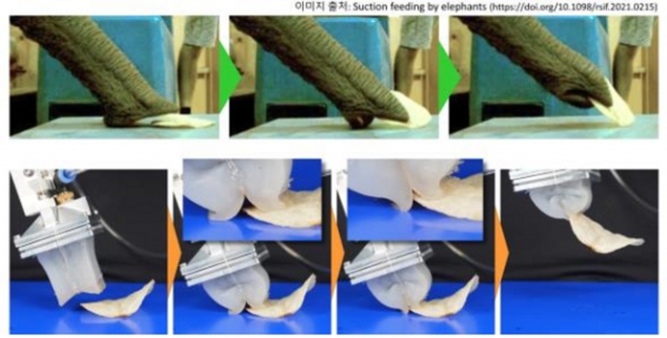 코끼리와 그리퍼가 감자칩을 잡는 모습 비교. (사진=기계연구원)
