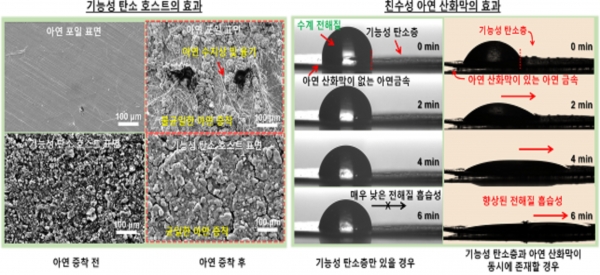 기능성 탄소 호스트와 친수성 아연 산화막의 효과. (출처=한국연구재단)