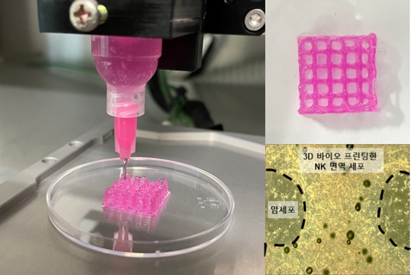 NK 세포의 활성을 높이는 하이드로젤 제작 모습. (사진=기계연구원)