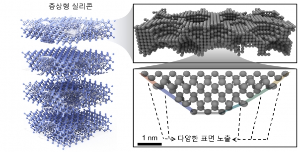 독특한 표면을 가지는 실리콘 층상구조체의 개략도. (출처=한국연구재단)