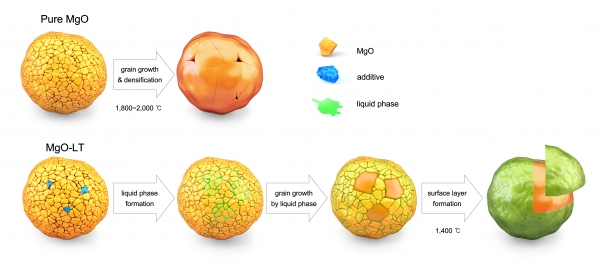pure MgO와 개발된 매끄러운 표면을 가지는 MgO의 소결 공정 중 결정립 성장 과정 모식도. (출처=재료연구원)