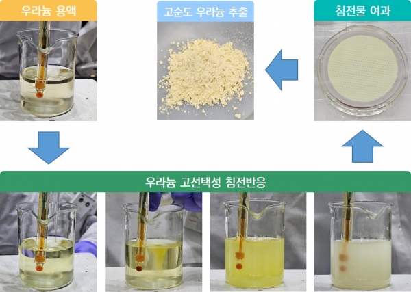 우라늄 용액에서 침전반응을 통해 고순도 우라늄을 추출하고 있다. (사진=원자력연구원)