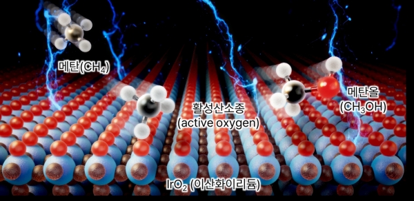 전기화학적 상온 메탄-메탄올 전환. (출처=한국연구재단)