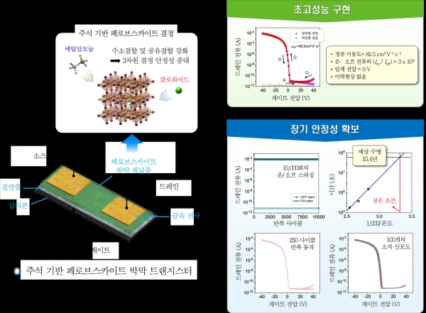 주석 기반 페로브스카이트 박막 트랜지스터 구조, 성능 및 안정성. (출처=한국연구재단)
