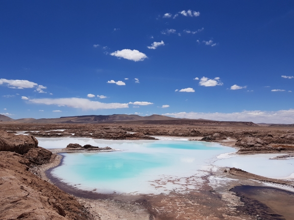 아르헨티나 옴브레 무에르토 리튬 염호. /포스코홀딩스
