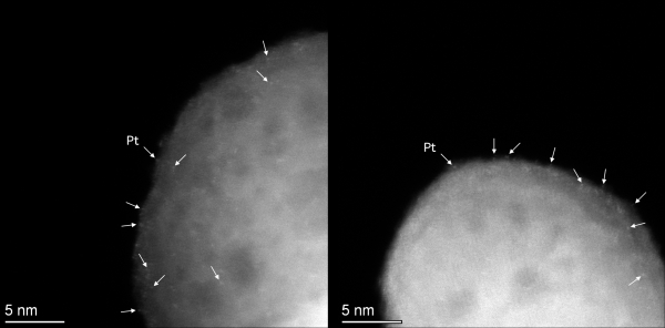 단일원자 백금(Pt) 입자의 전자현미경 사진. (출처=한국연구재단)