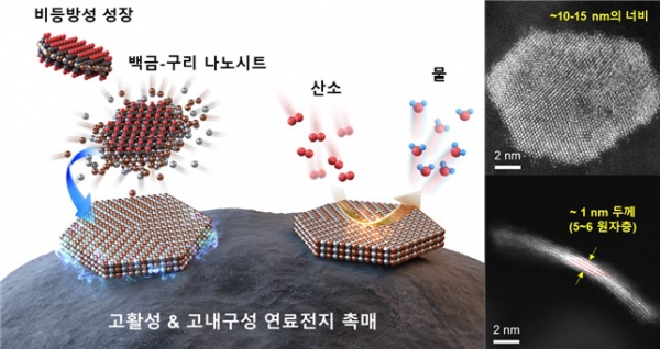 초박막 나노시트 합성 모식도와 제작된 촉매의 투과전자현미경 이미지. (출처=KAIST)